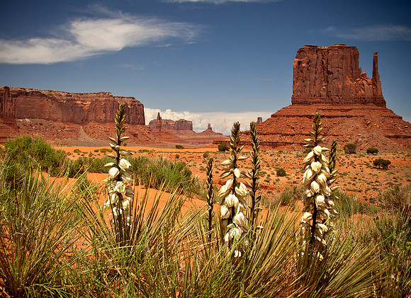 Monument Valley