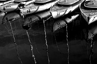 Mast Reflections