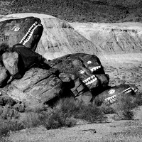 Desert Monsters, California