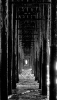 Under the Pier