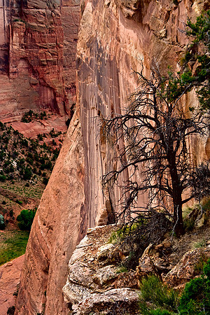Canyon de Chelly, Arizona